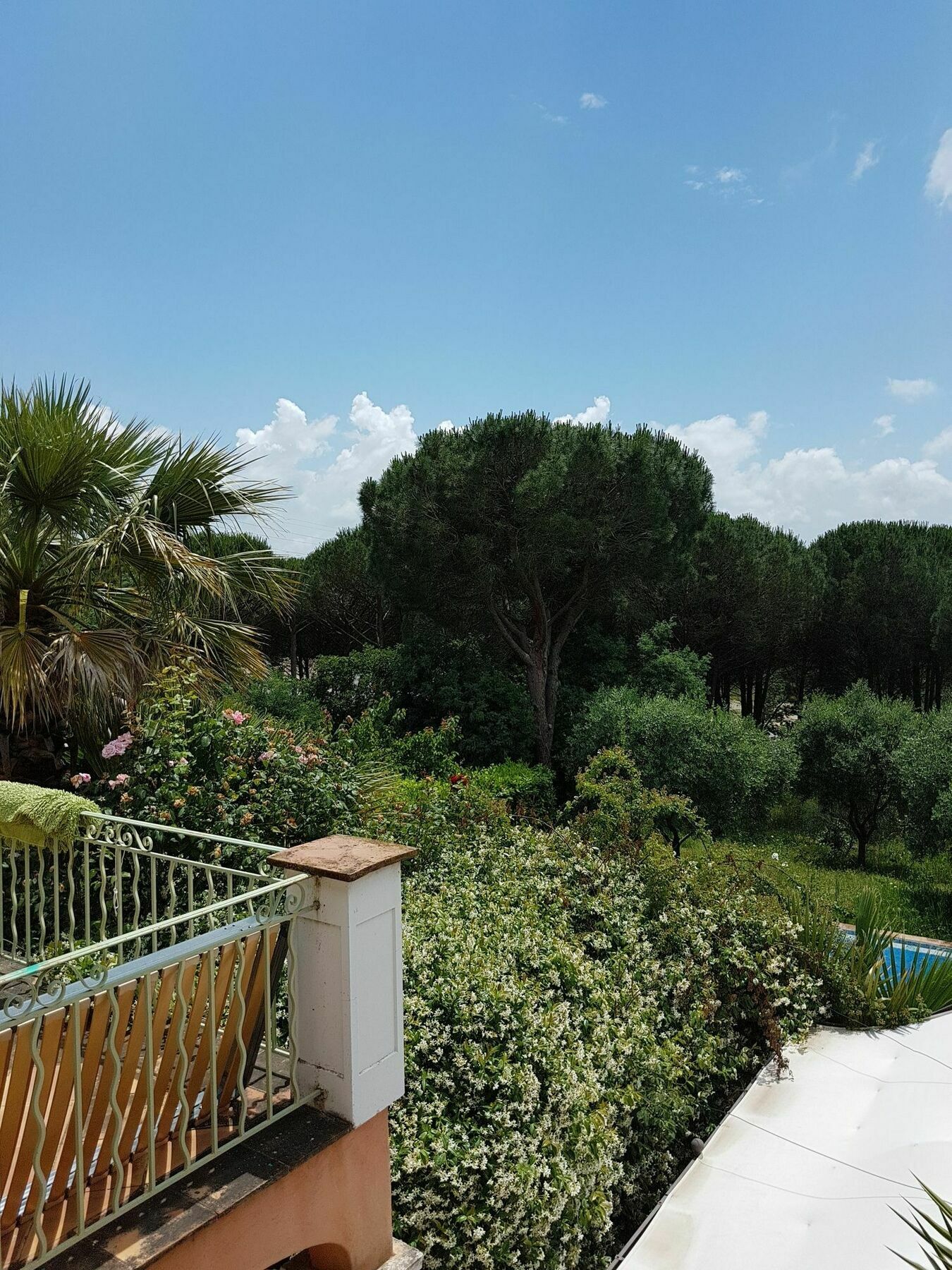 Chambres D'Hotes Villa Clauda Grimaud Eksteriør billede