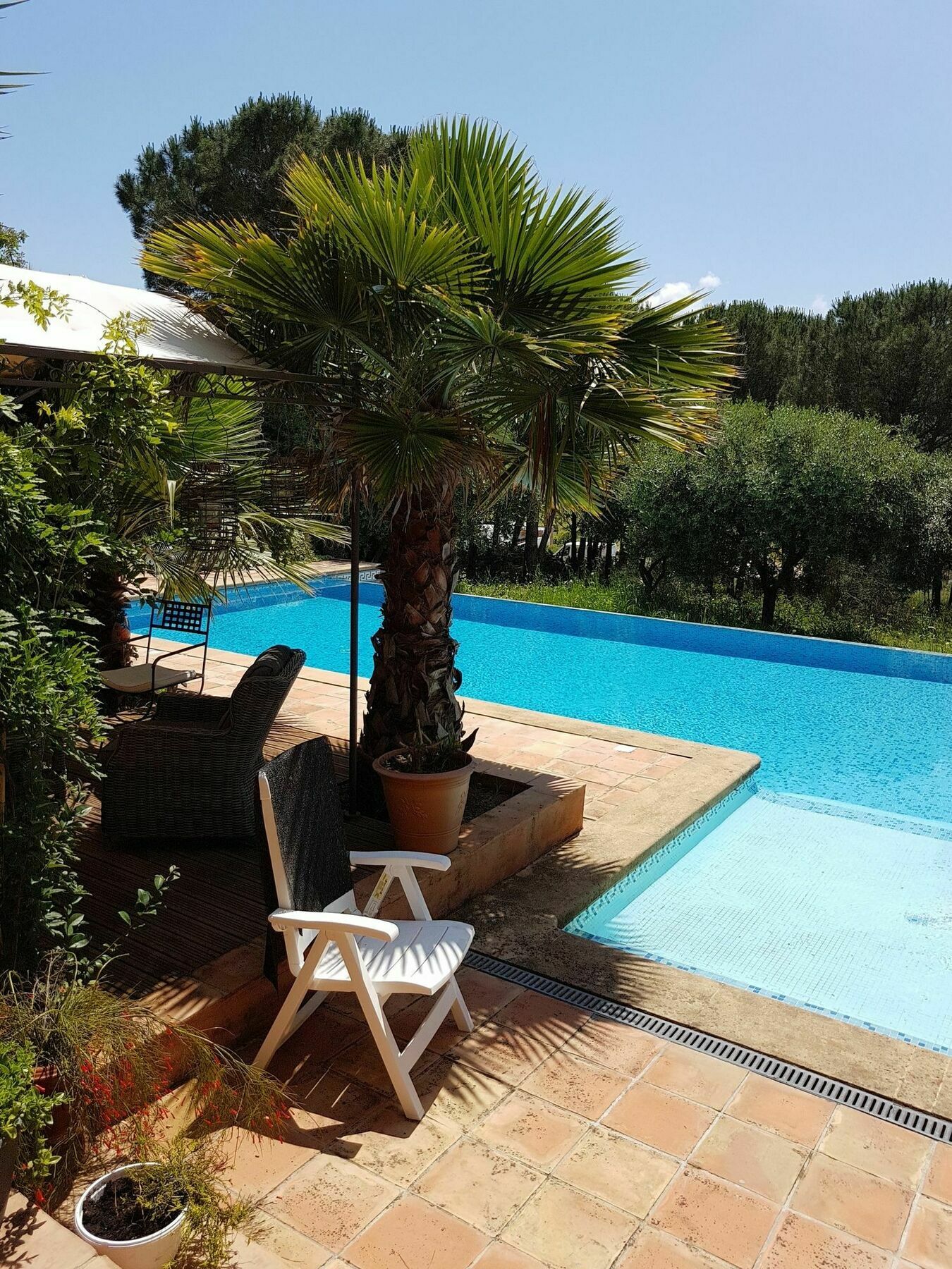 Chambres D'Hotes Villa Clauda Grimaud Eksteriør billede